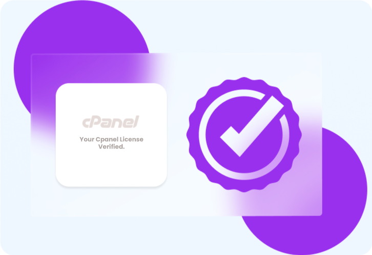Professional Software License Solutions